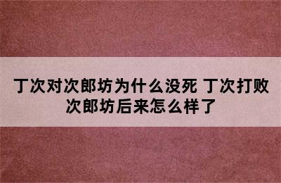 丁次对次郎坊为什么没死 丁次打败次郎坊后来怎么样了